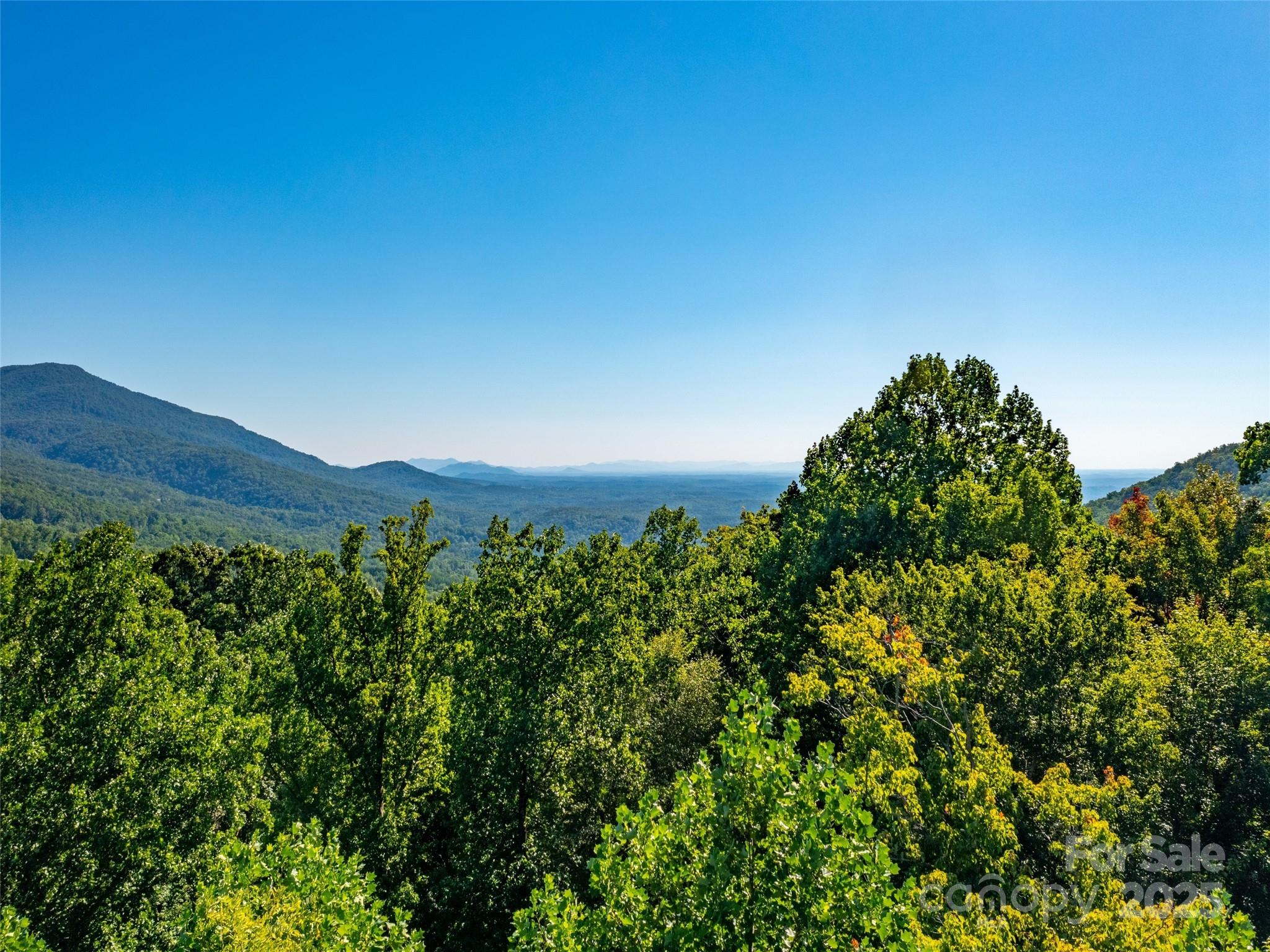 2140 Harm Creek Loop Mill Spring NC 28756