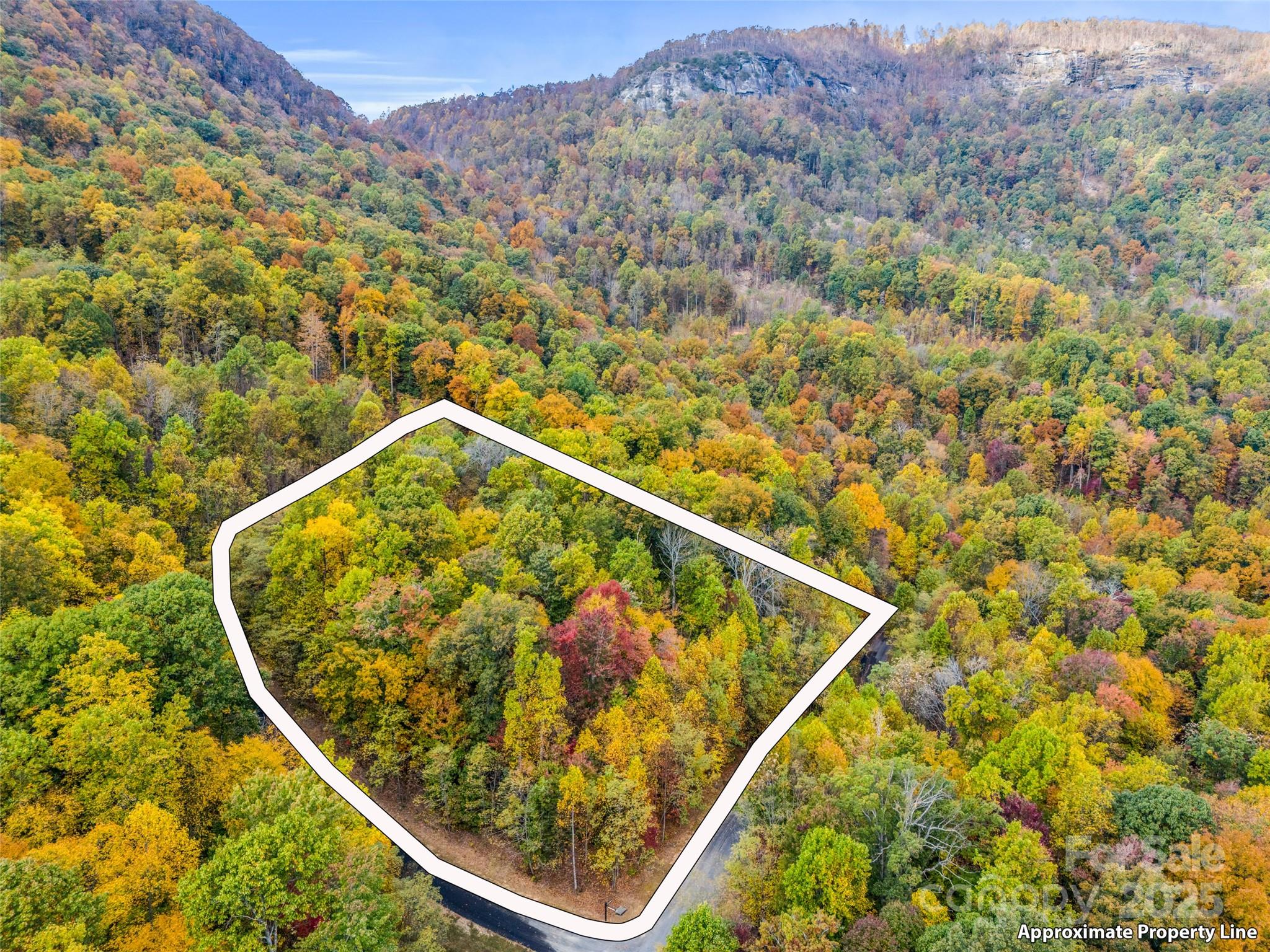 2140 Harm Creek Loop Mill Spring NC 28756