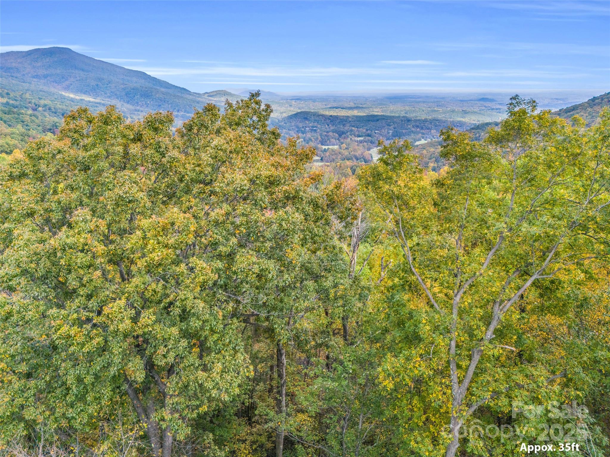 2140 Harm Creek Loop Mill Spring NC 28756