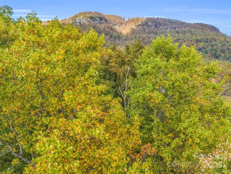 2140 Harm Creek Loop Mill Spring NC 28756