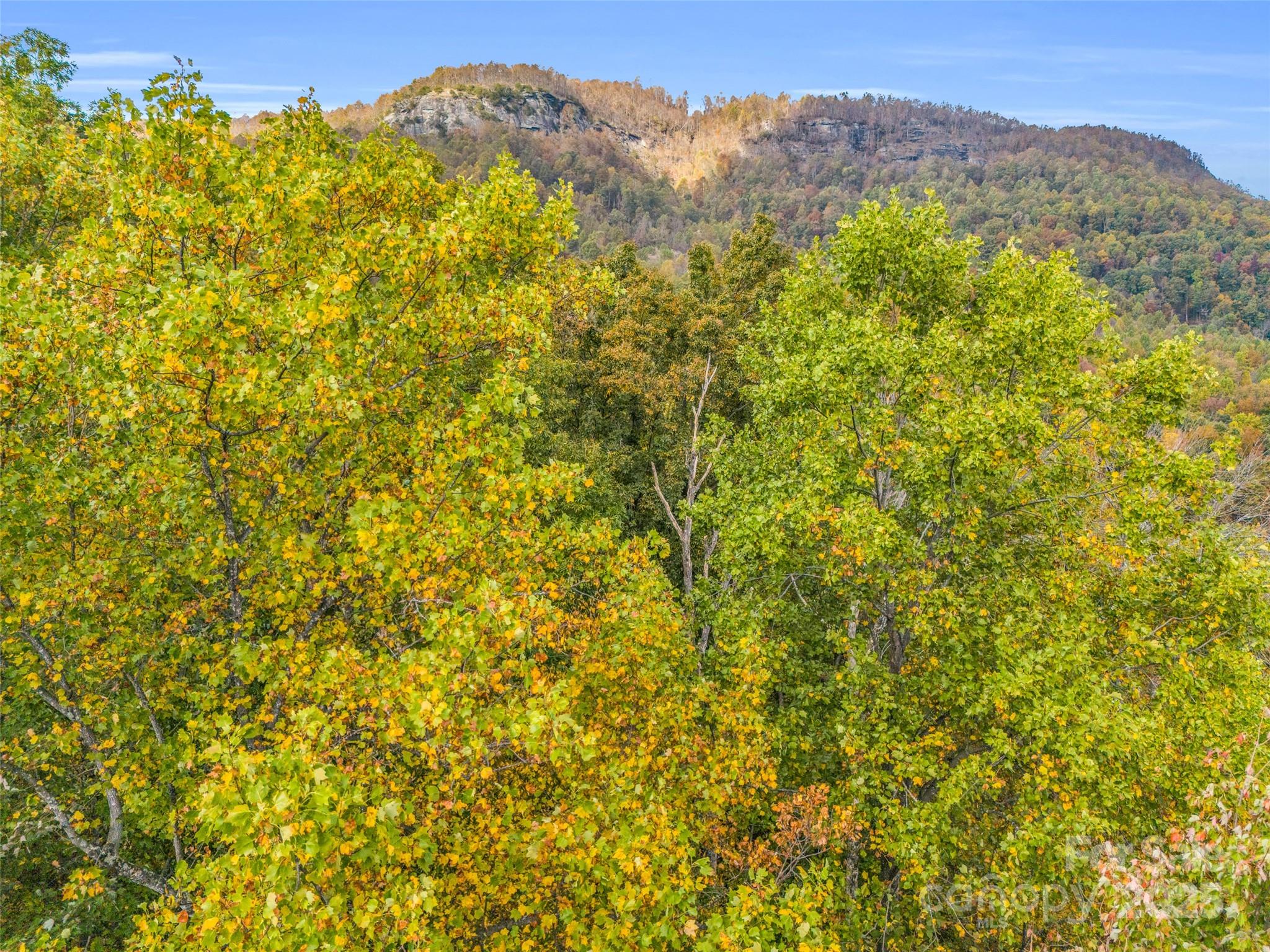 2140 Harm Creek Loop Mill Spring NC 28756