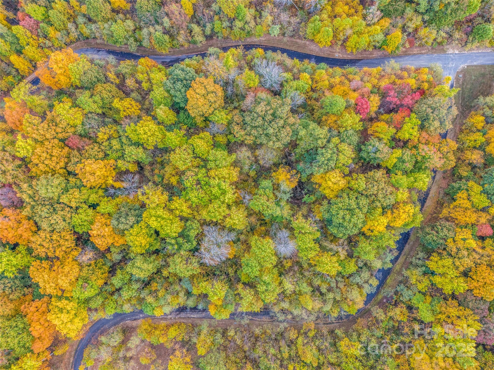 2140 Harm Creek Loop Mill Spring NC 28756
