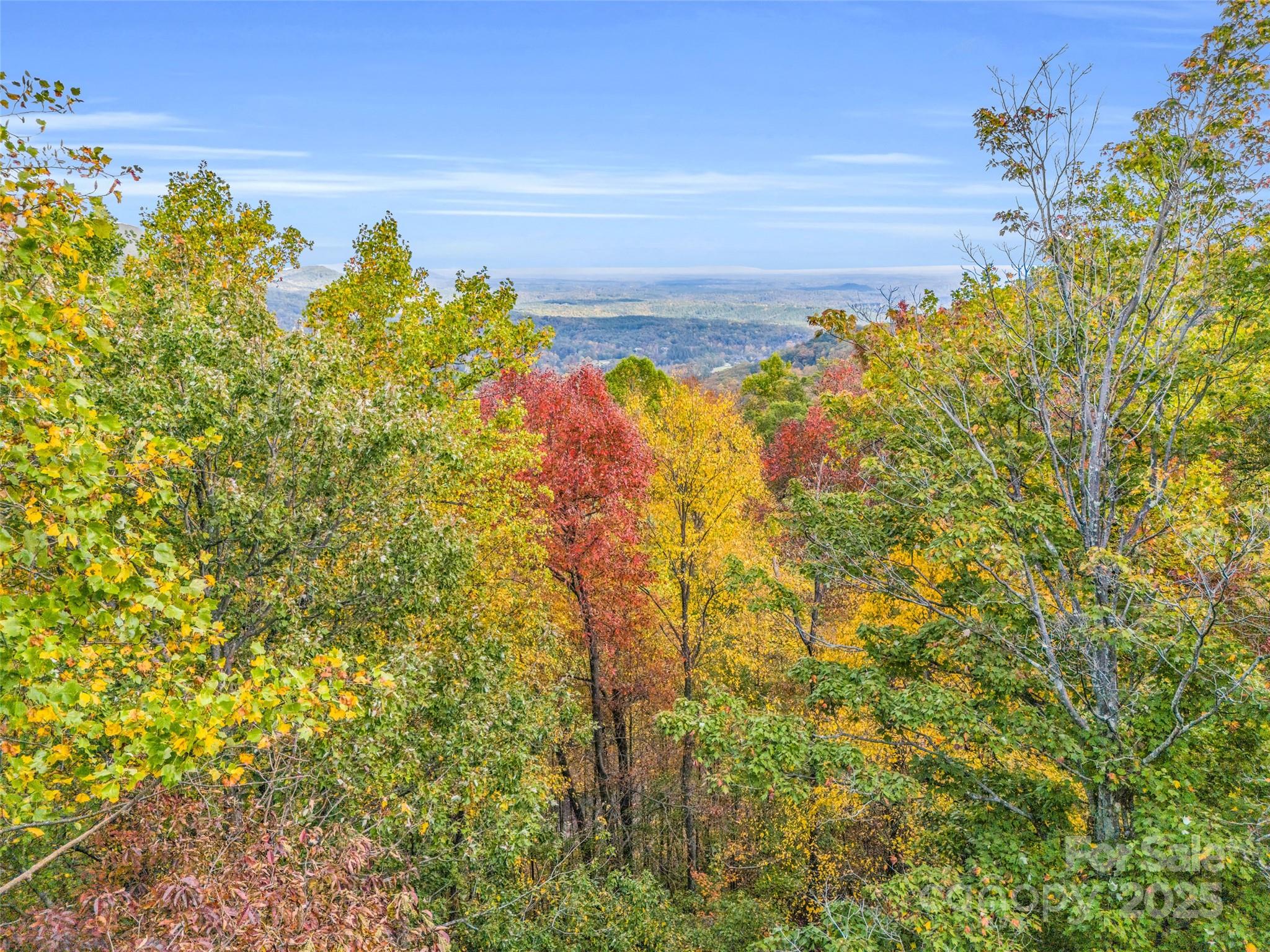 2140 Harm Creek Loop Mill Spring NC 28756