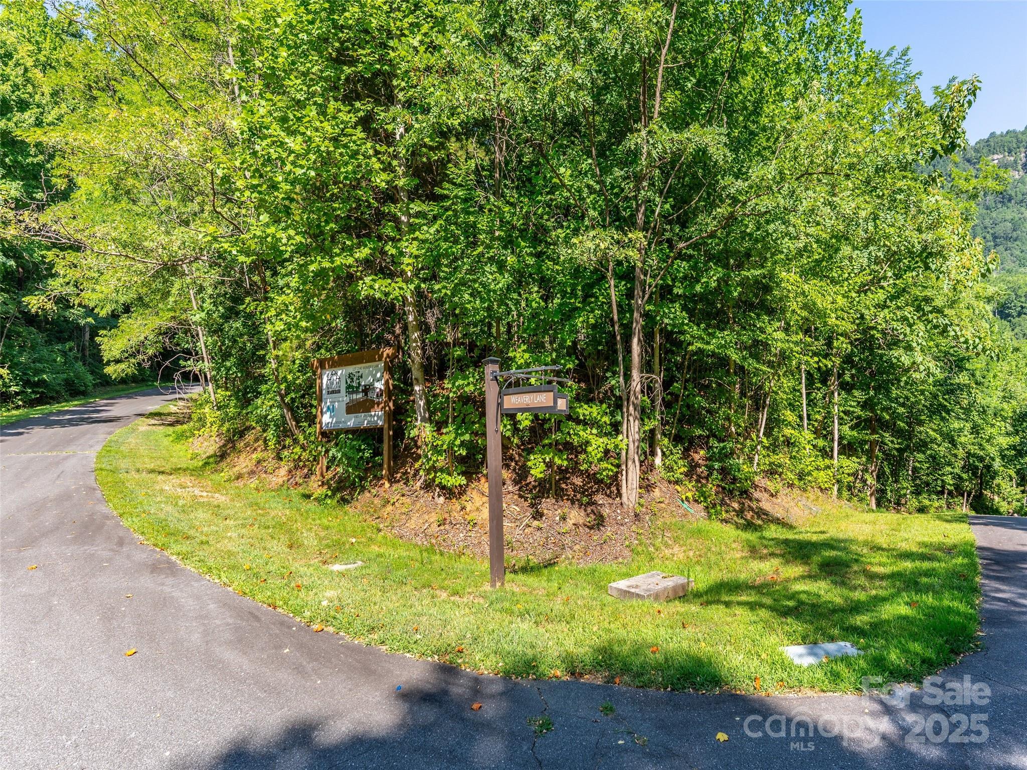 2140 Harm Creek Loop Mill Spring NC 28756