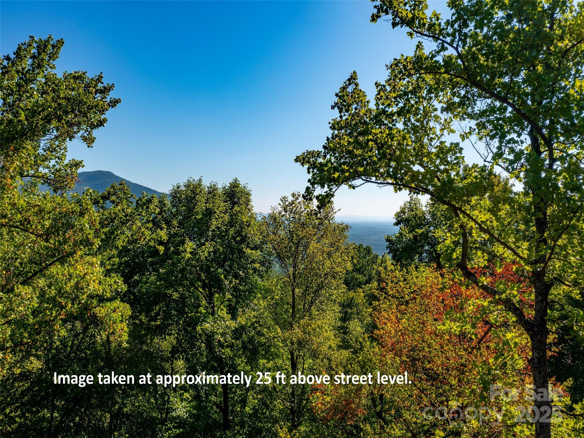2140 Harm Creek Loop Mill Spring NC 28756