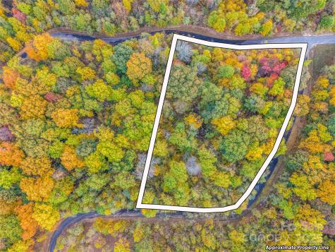 2140 Harm Creek Loop Mill Spring NC 28756