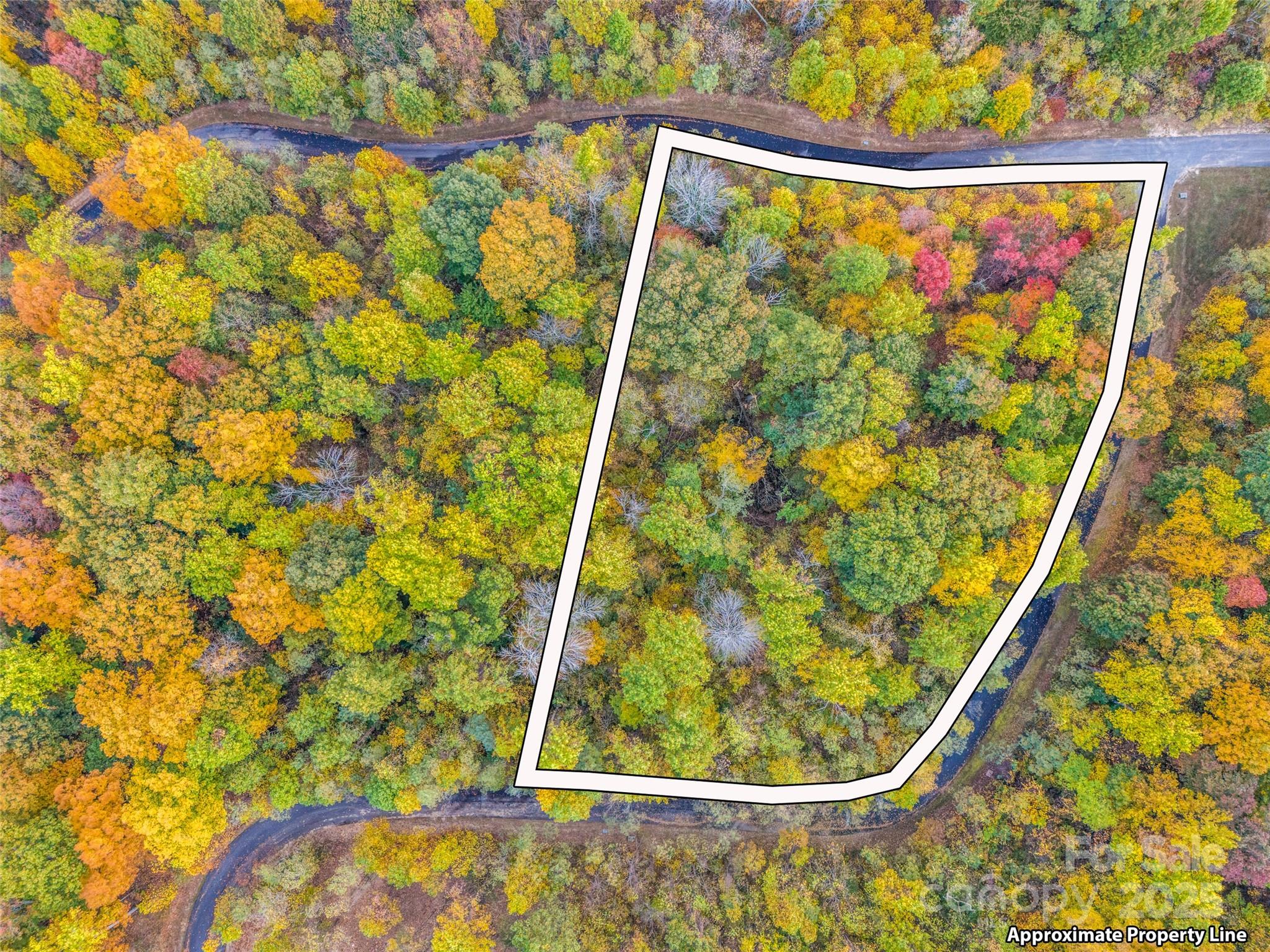 2140 Harm Creek Loop Mill Spring NC 28756