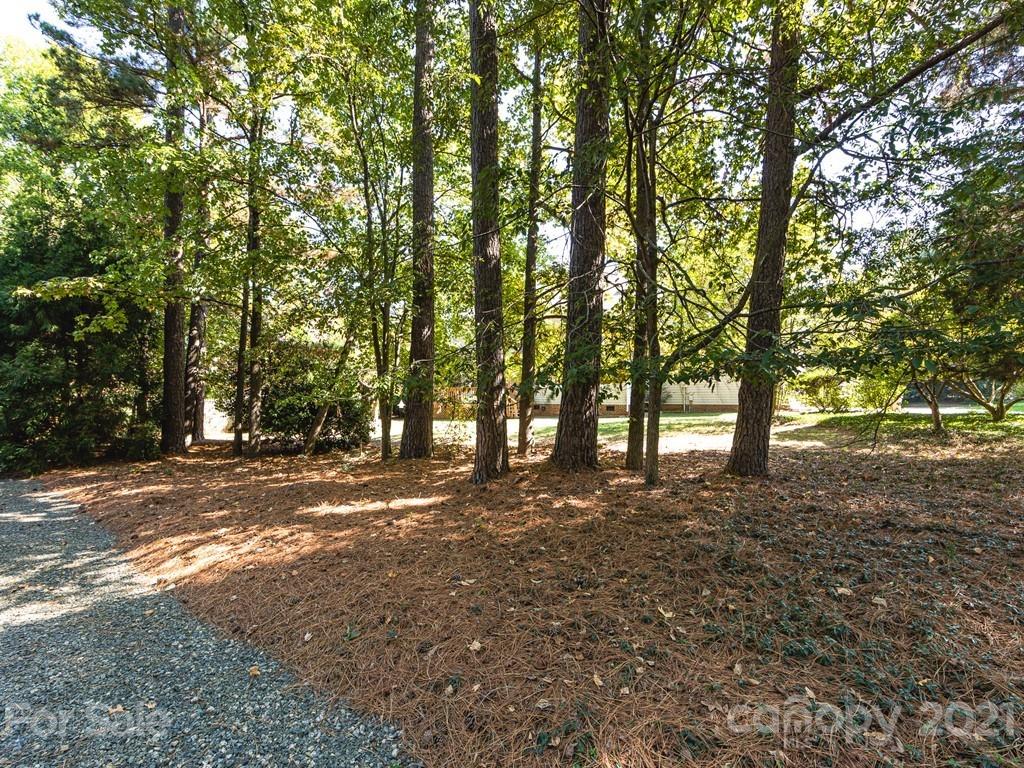 10124 Berkeley Forest Lane Charlotte NC 28277
