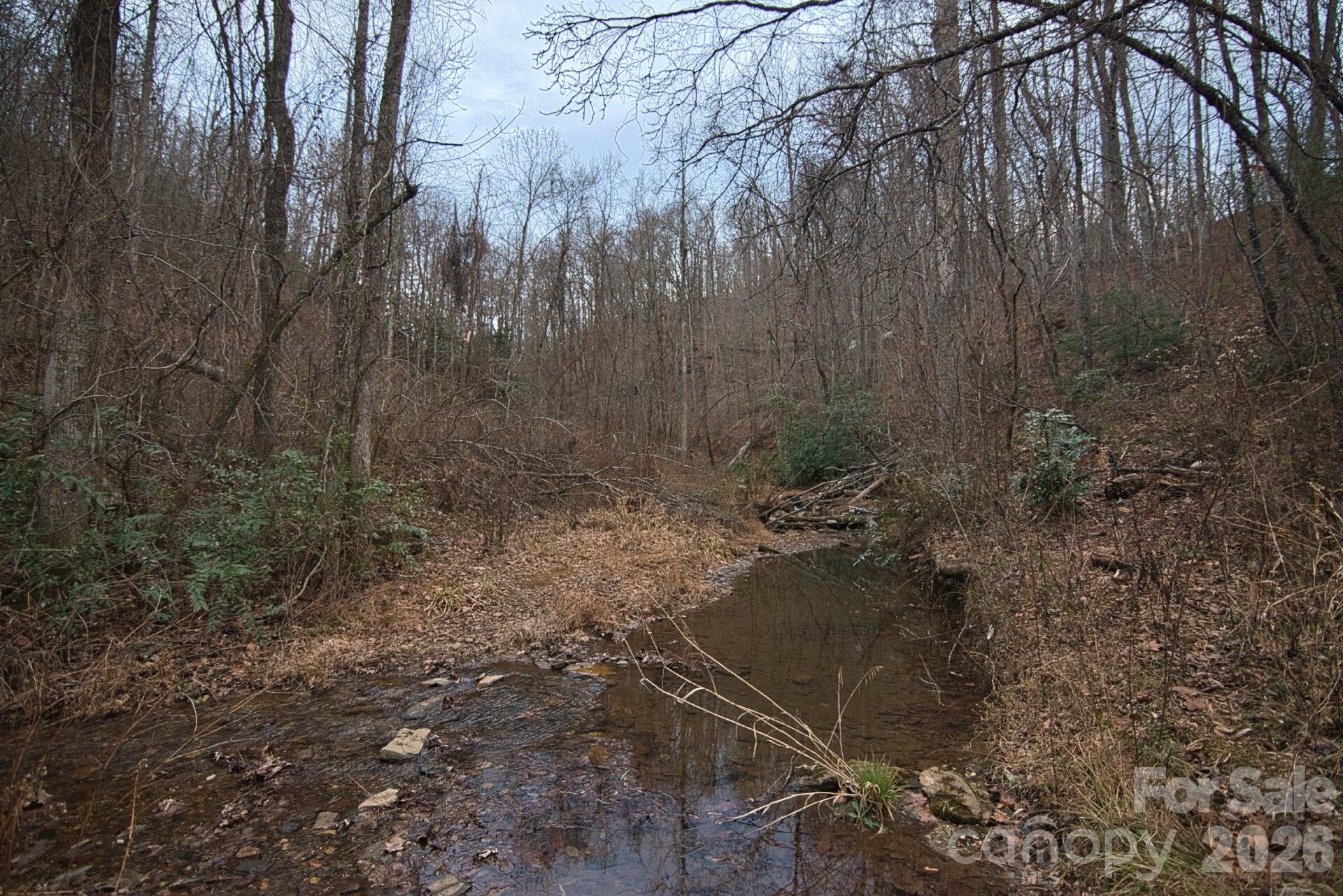 5712 Holbert Cove Road Saluda NC 28773
