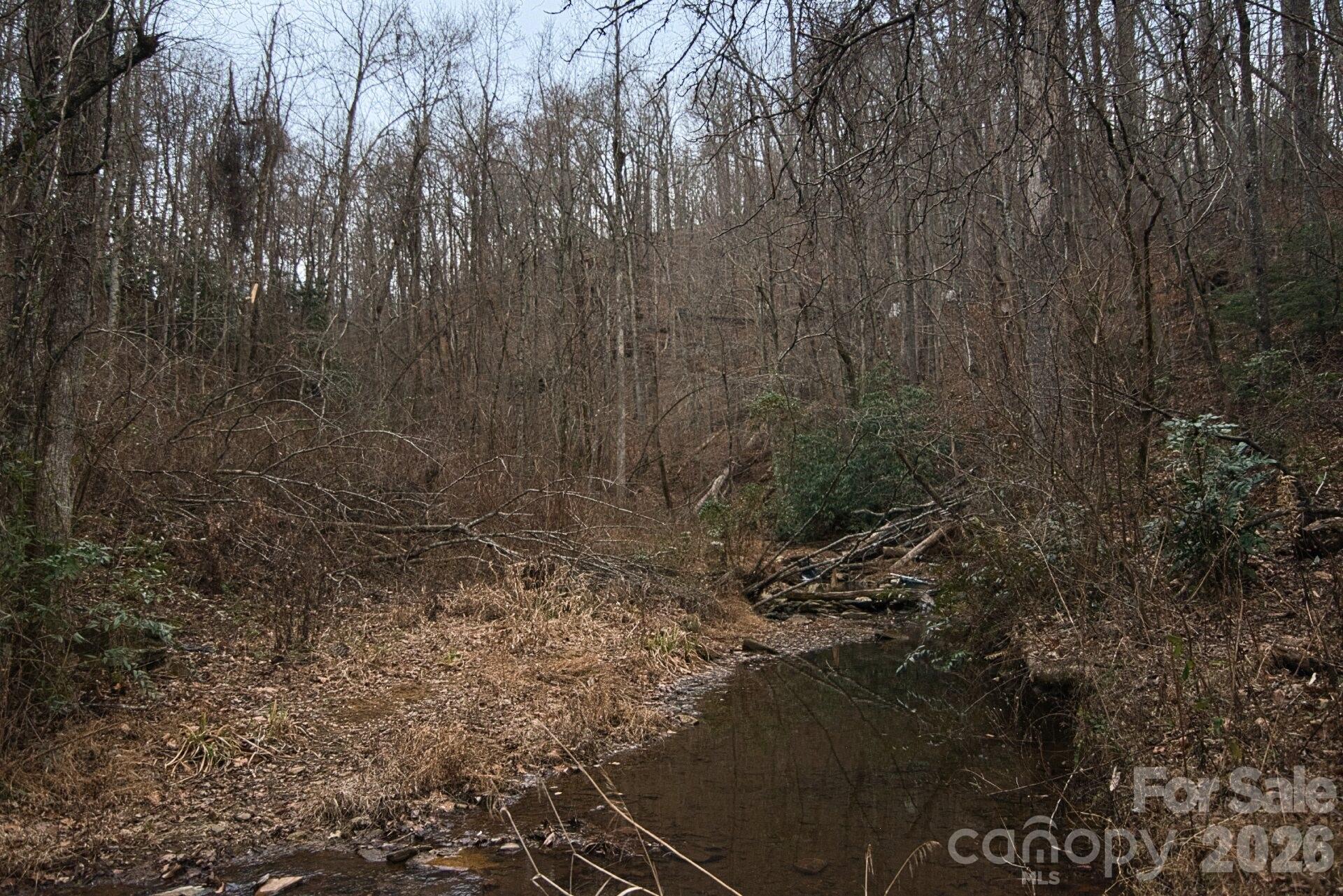 5712 Holbert Cove Road Saluda NC 28773