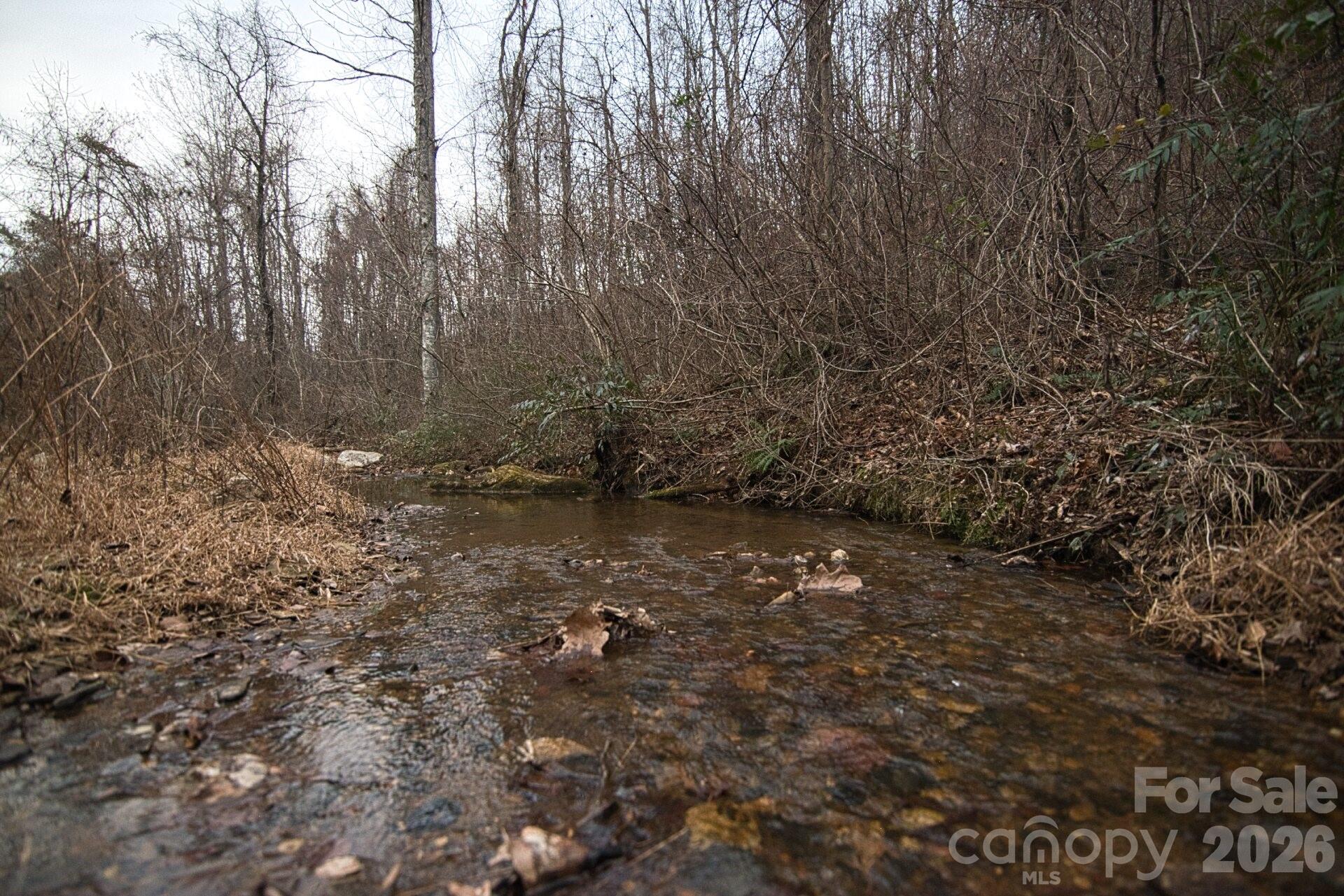 5712 Holbert Cove Road Saluda NC 28773
