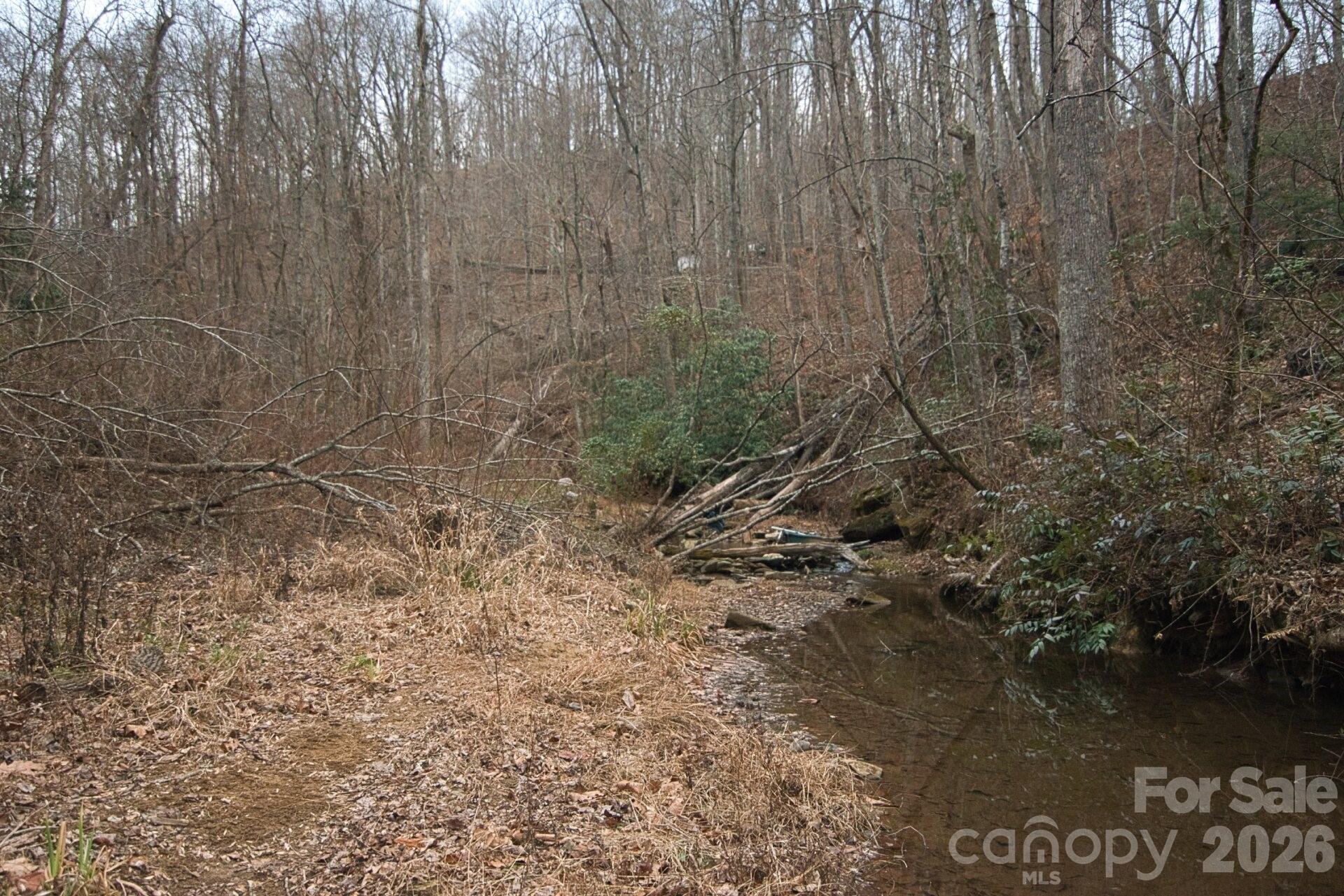 5712 Holbert Cove Road Saluda NC 28773