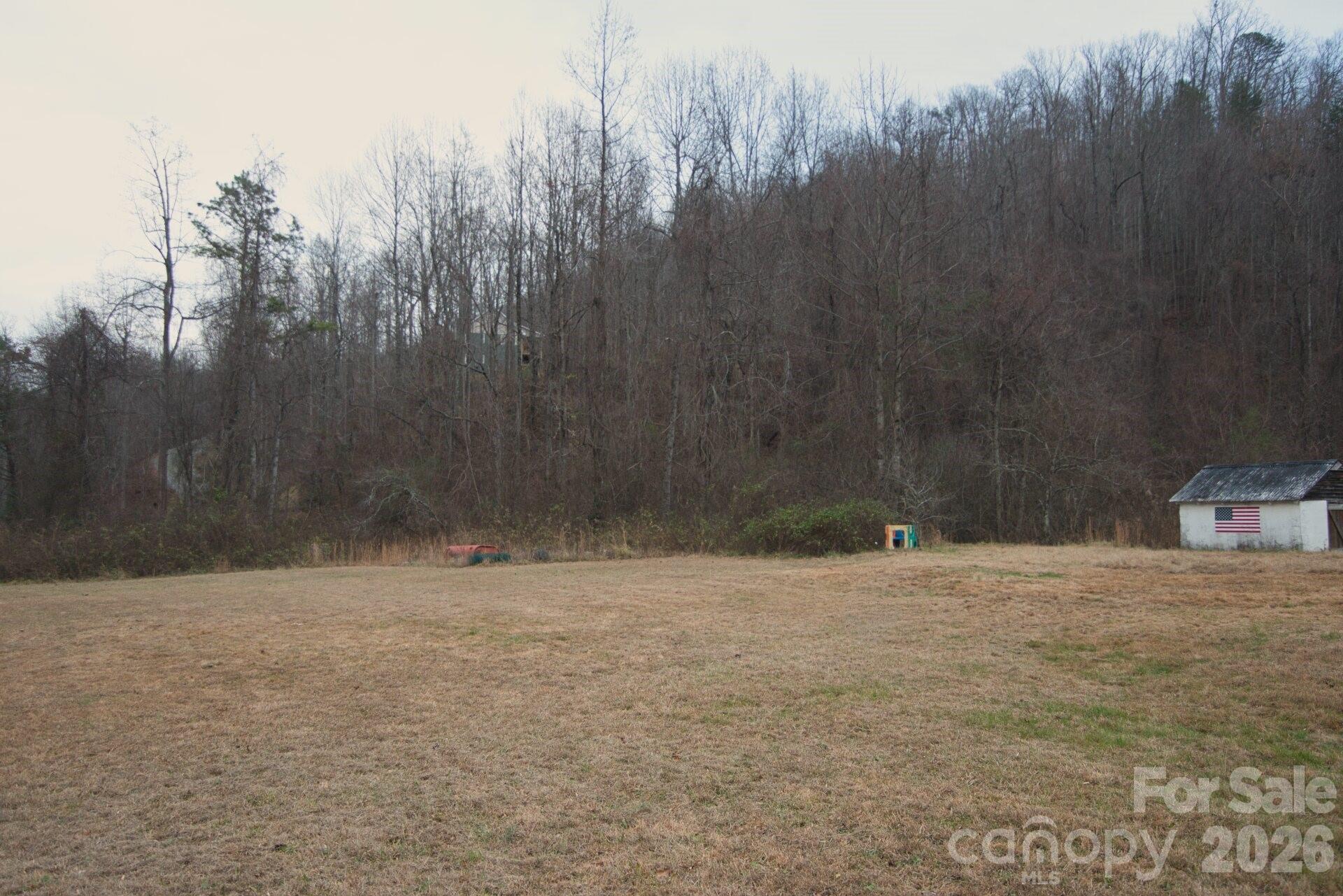5712 Holbert Cove Road Saluda NC 28773