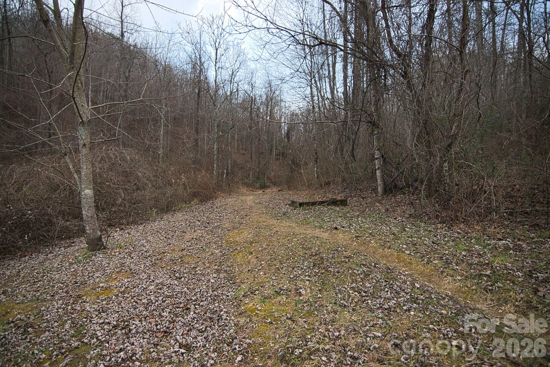 5712 Holbert Cove Road Saluda NC 28773