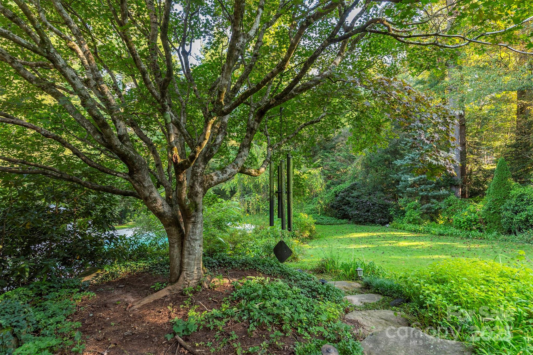 18 Forest Road Asheville NC 28803