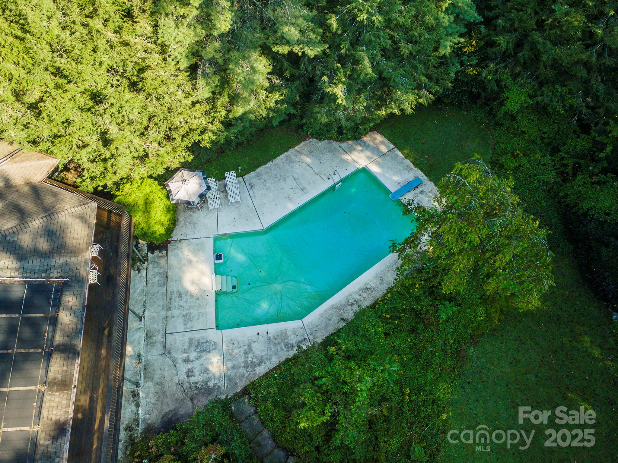 18 Forest Road Asheville NC 28803