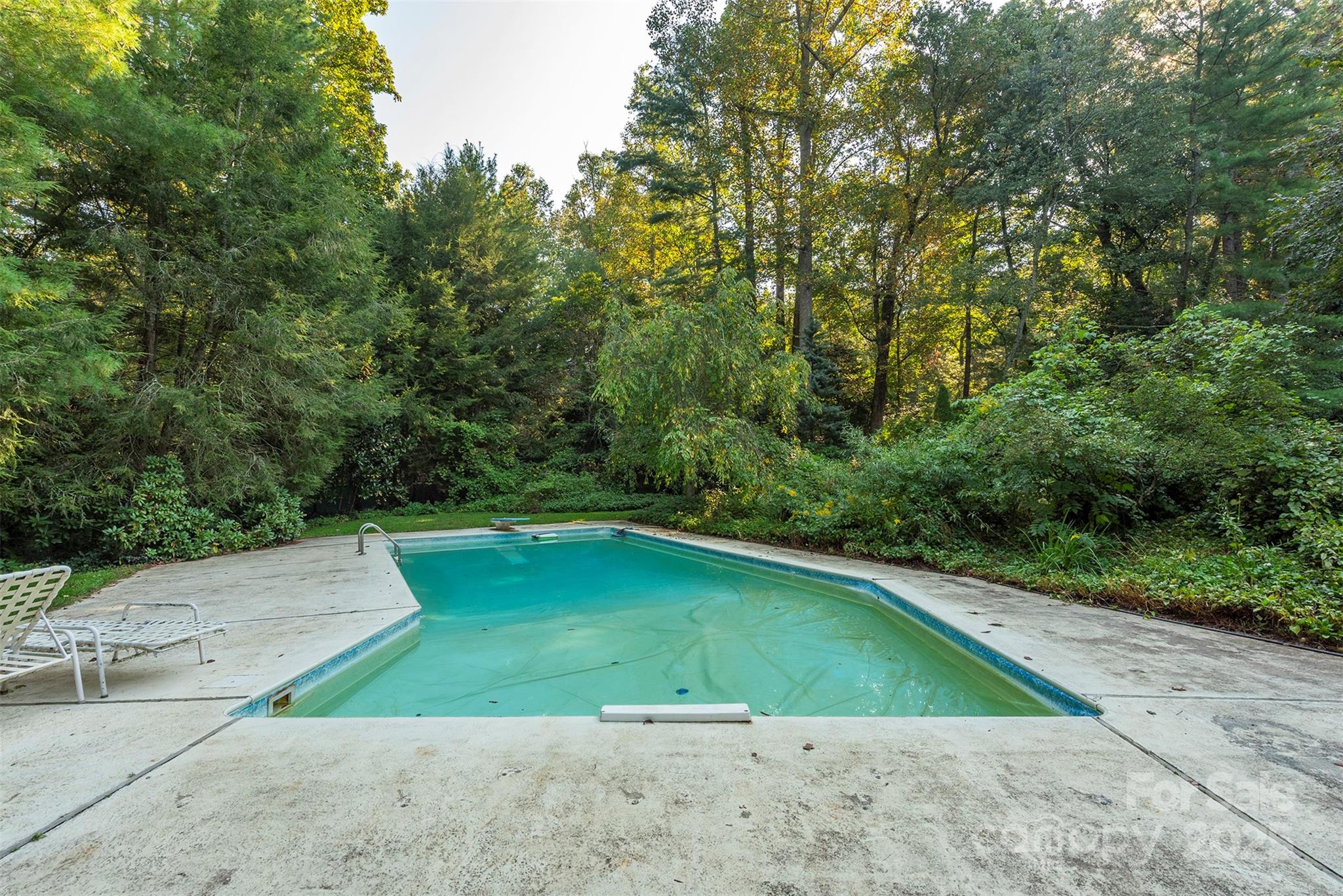 18 Forest Road Asheville NC 28803