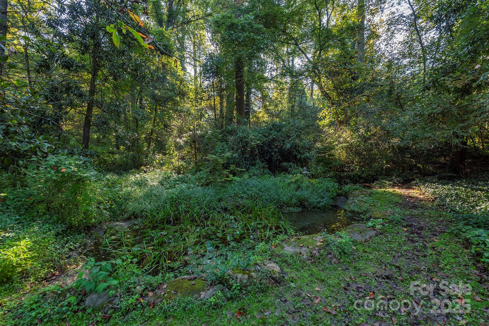 18 Forest Road Asheville NC 28803