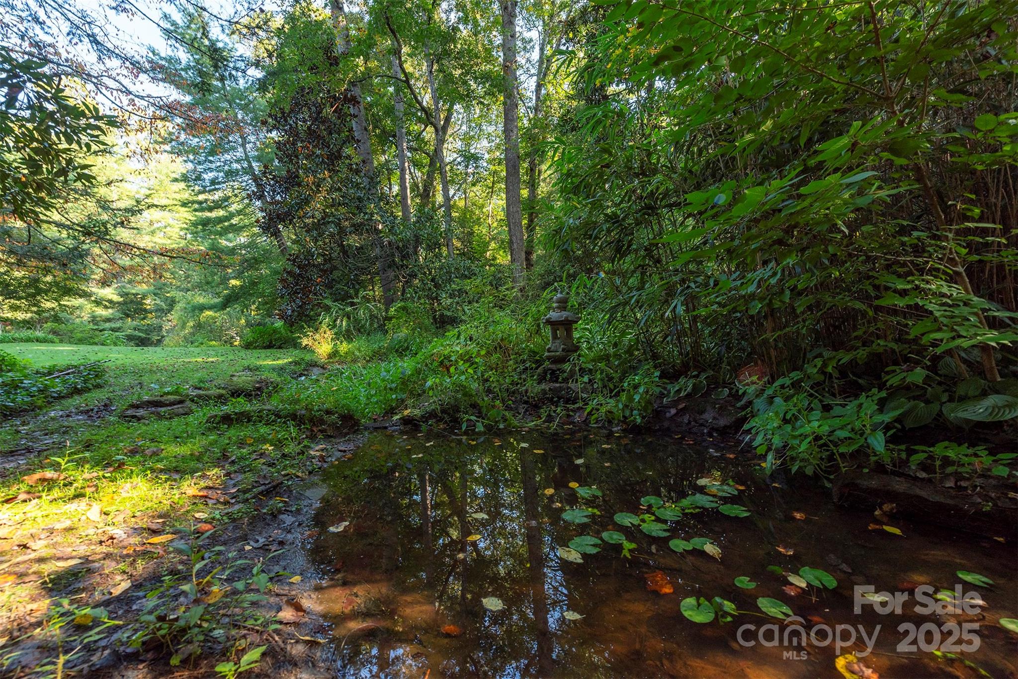 18 Forest Road Asheville NC 28803