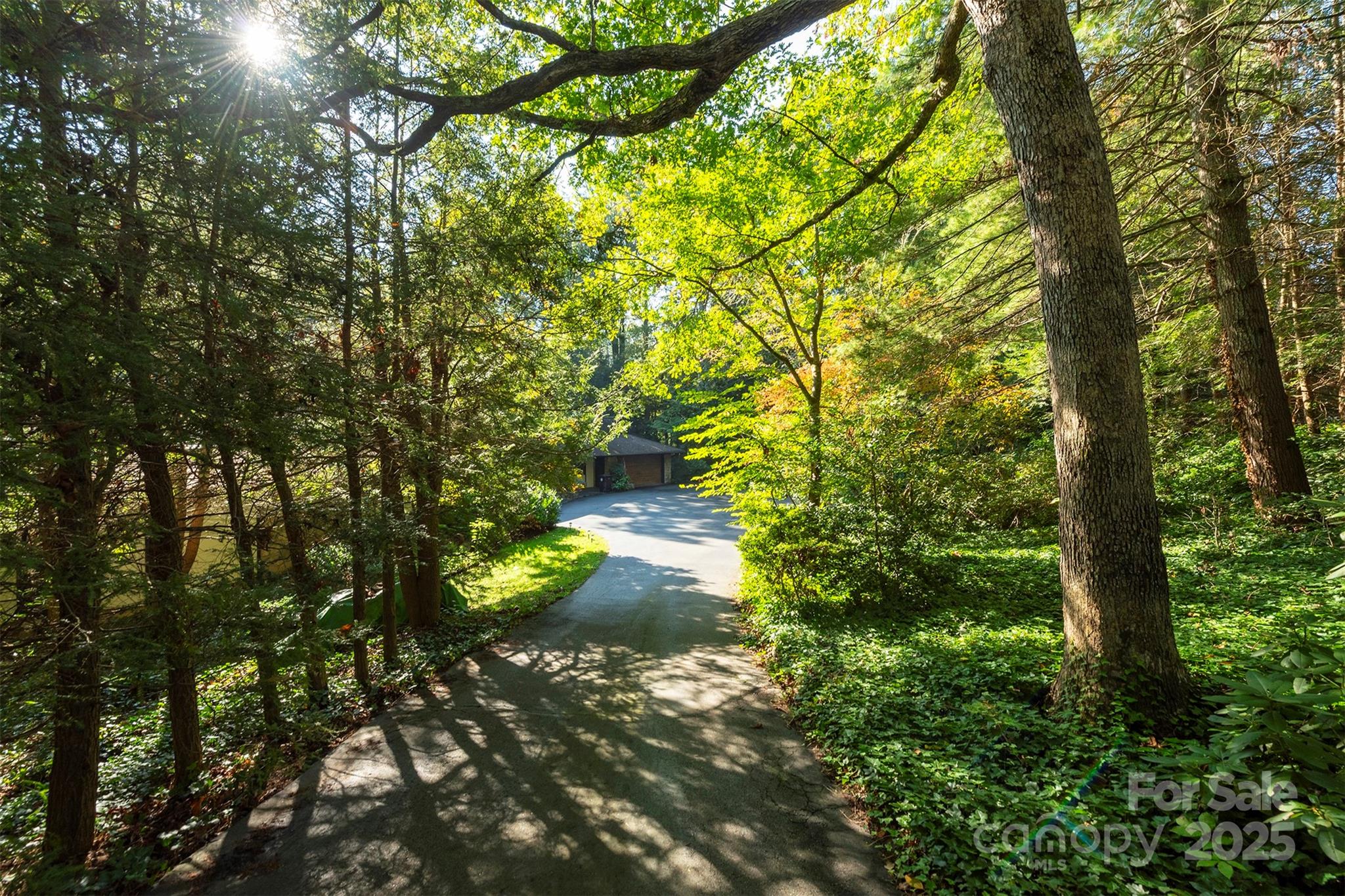 18 Forest Road Asheville NC 28803