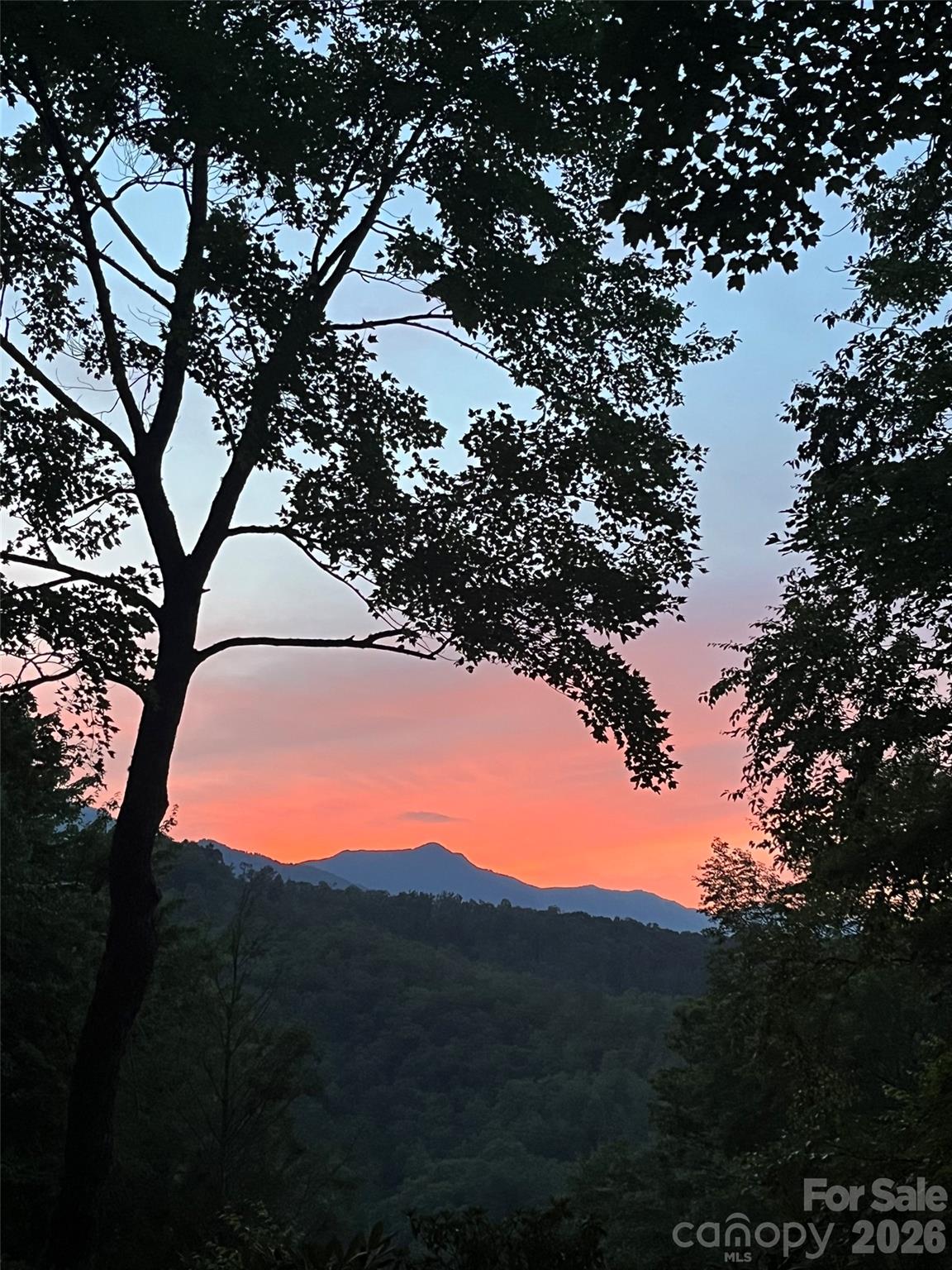 19 High Terrain Drive Burnsville NC 28714