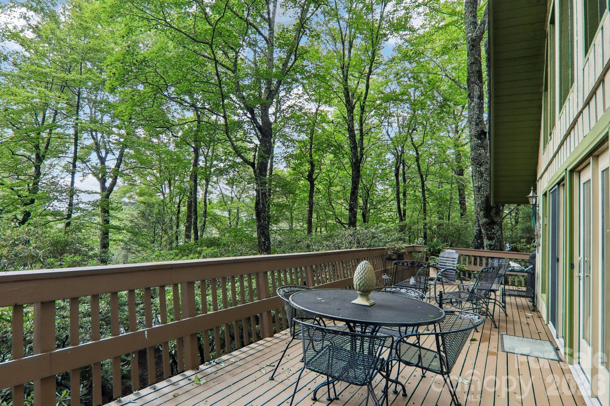 19 High Terrain Drive Burnsville NC 28714