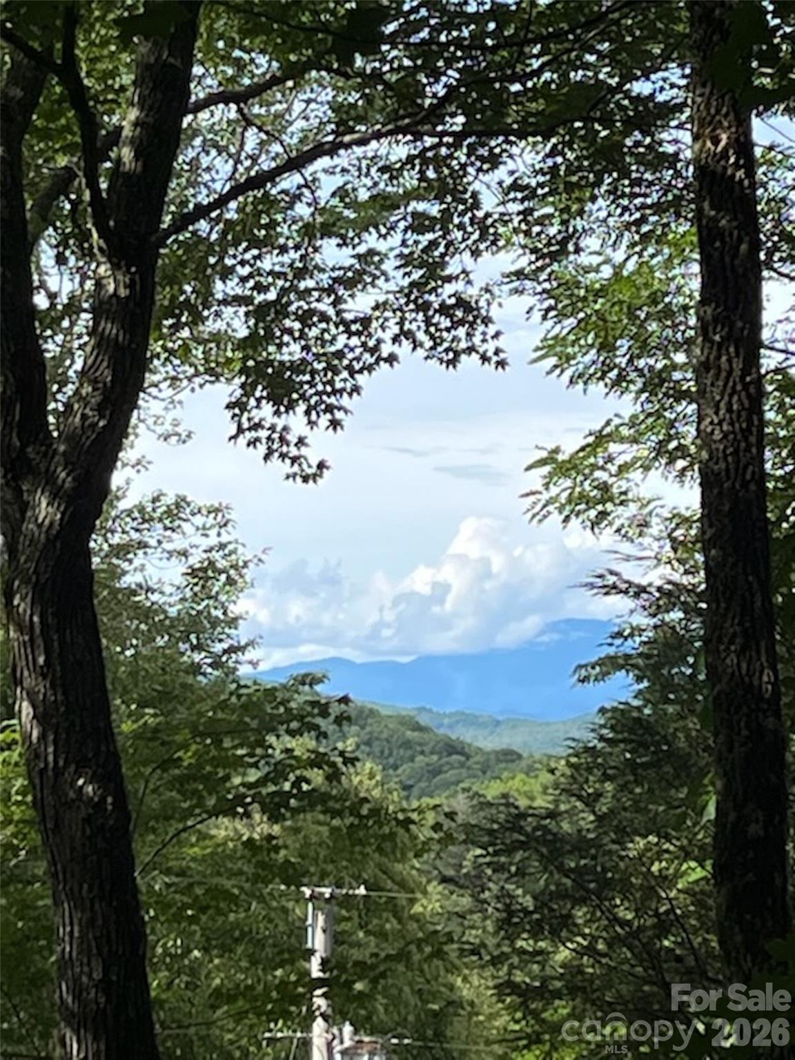 19 High Terrain Drive Burnsville NC 28714