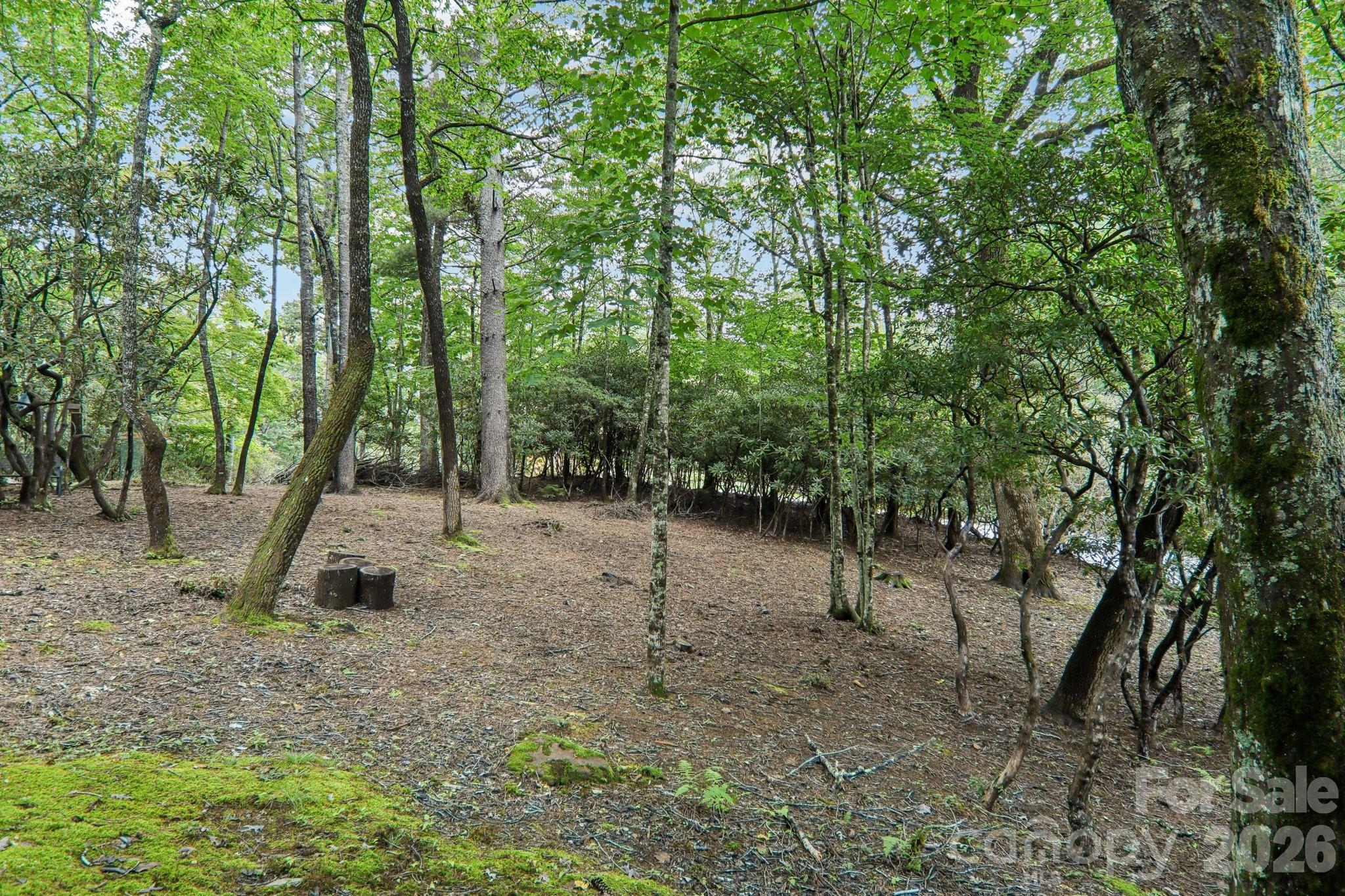 19 High Terrain Drive Burnsville NC 28714