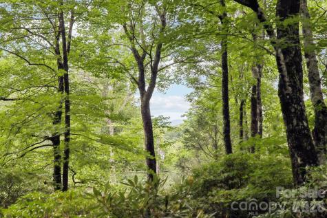 19 High Terrain Drive Burnsville NC 28714