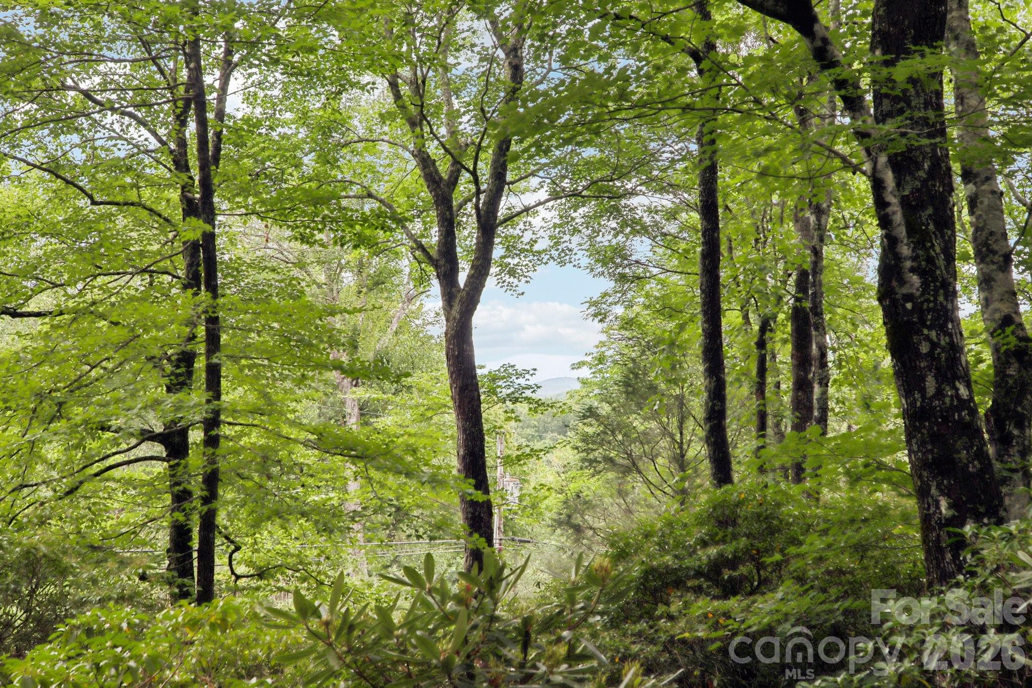19 High Terrain Drive Burnsville NC 28714