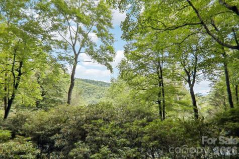 19 High Terrain Drive Burnsville NC 28714