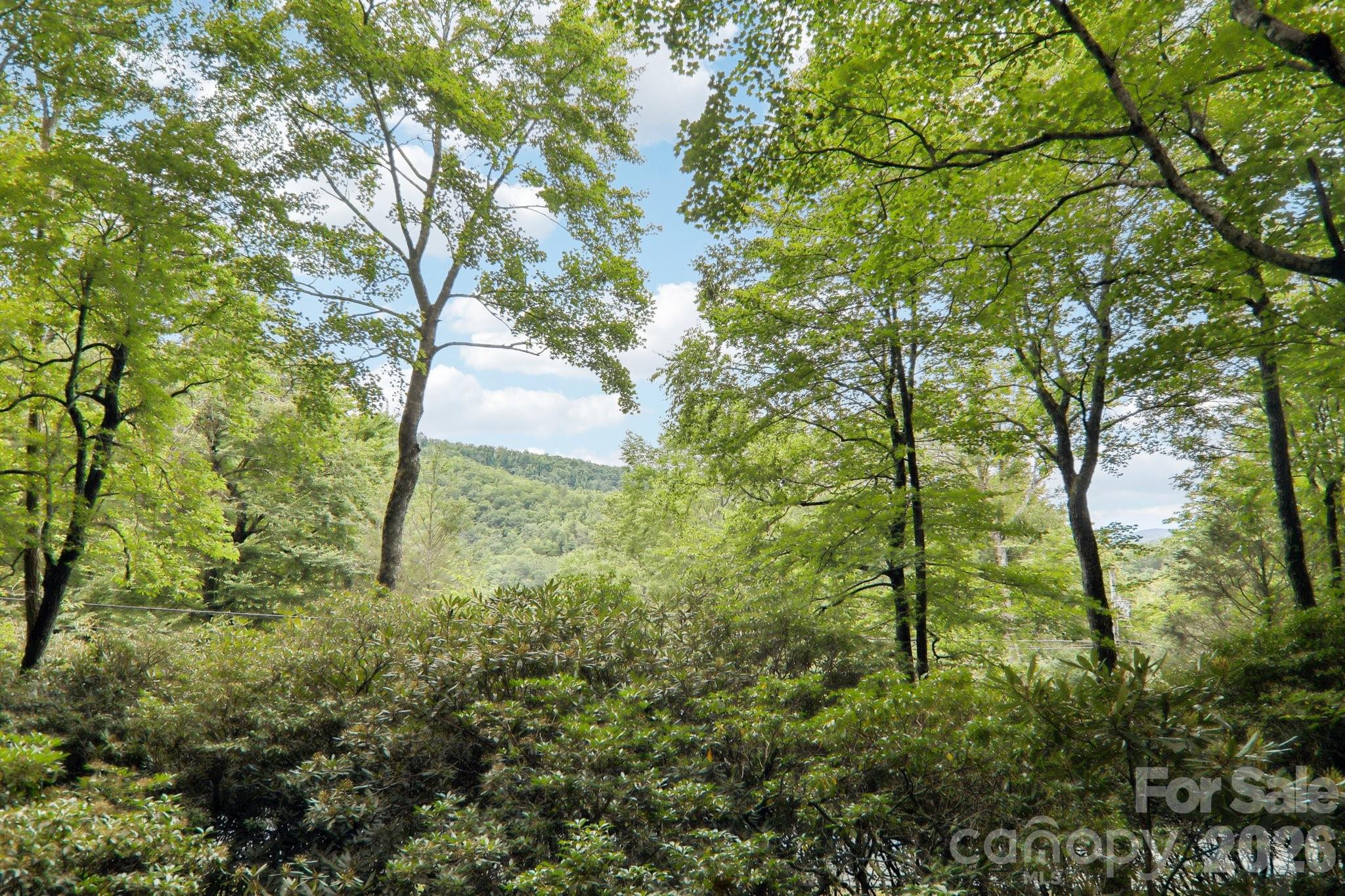 19 High Terrain Drive Burnsville NC 28714