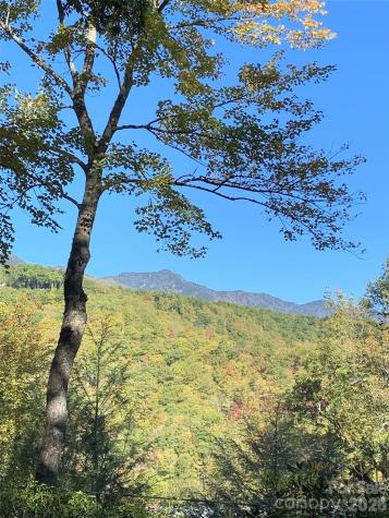 19 High Terrain Drive Burnsville NC 28714