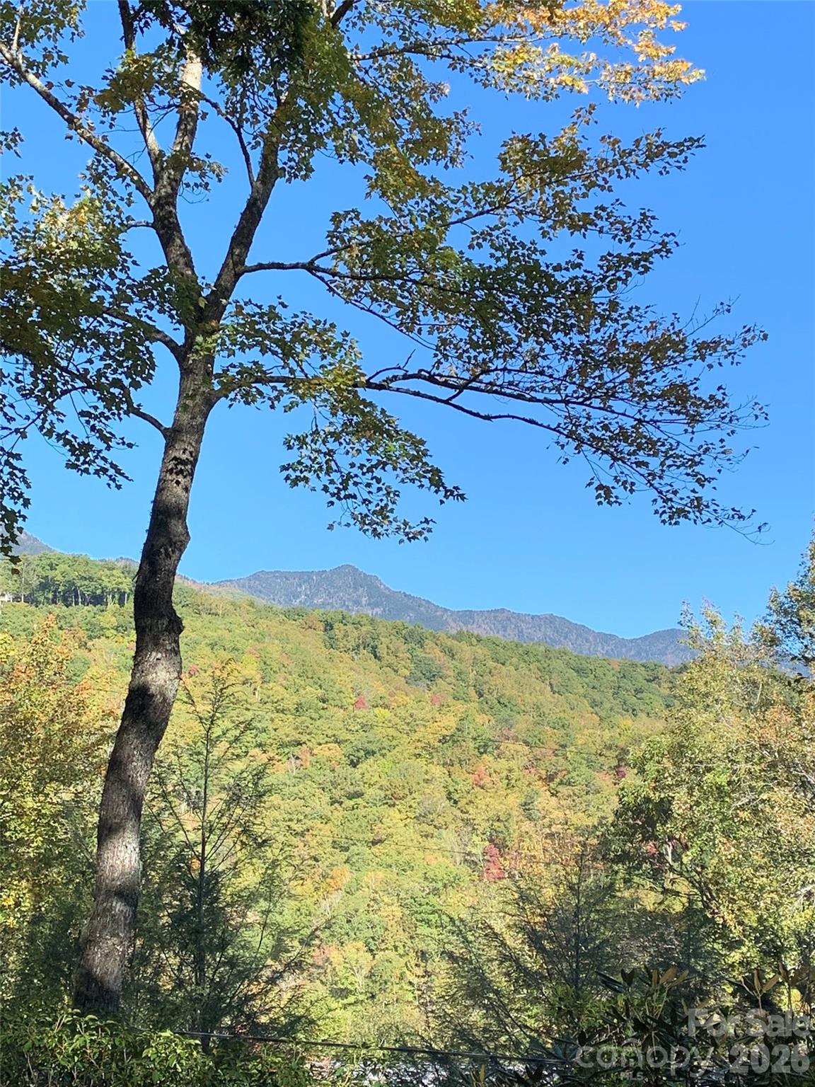 19 High Terrain Drive Burnsville NC 28714