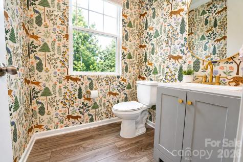 12008 John Newton Drive Davidson NC 28036