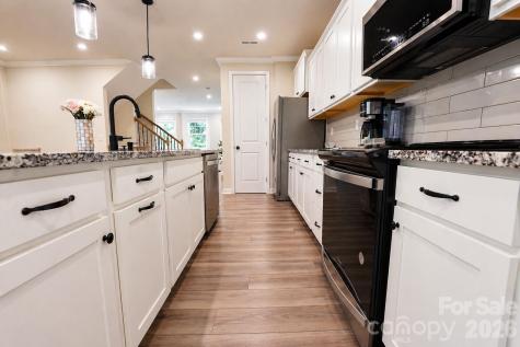 12008 John Newton Drive Davidson NC 28036