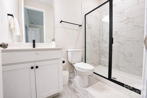 12008 John Newton Drive Davidson NC 28036