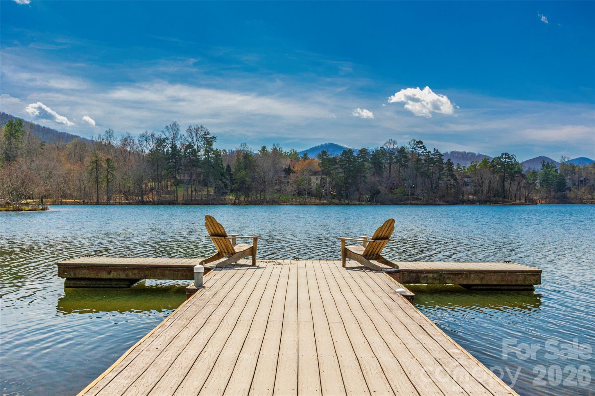 107 Mountain Drive Biltmore Lake NC 28715