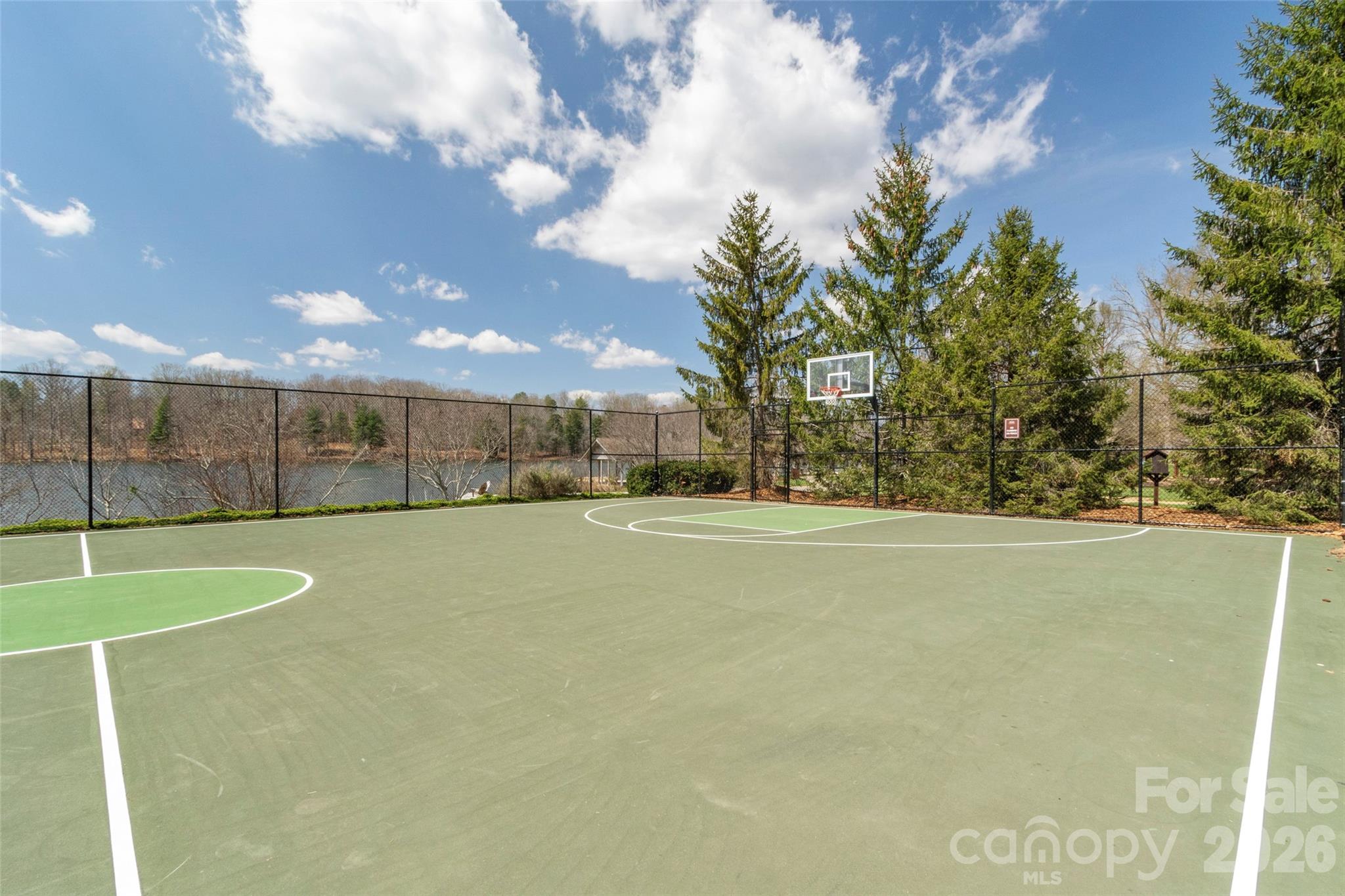 107 Mountain Drive Biltmore Lake NC 28715