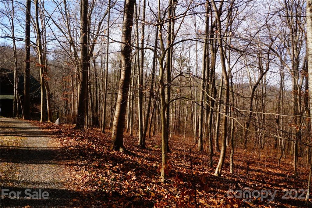 465 Ox Creek Road Weaverville NC 28787