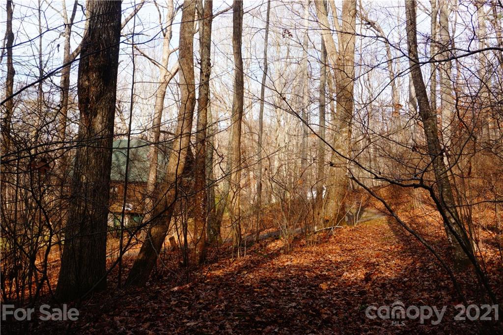 465 Ox Creek Road Weaverville NC 28787