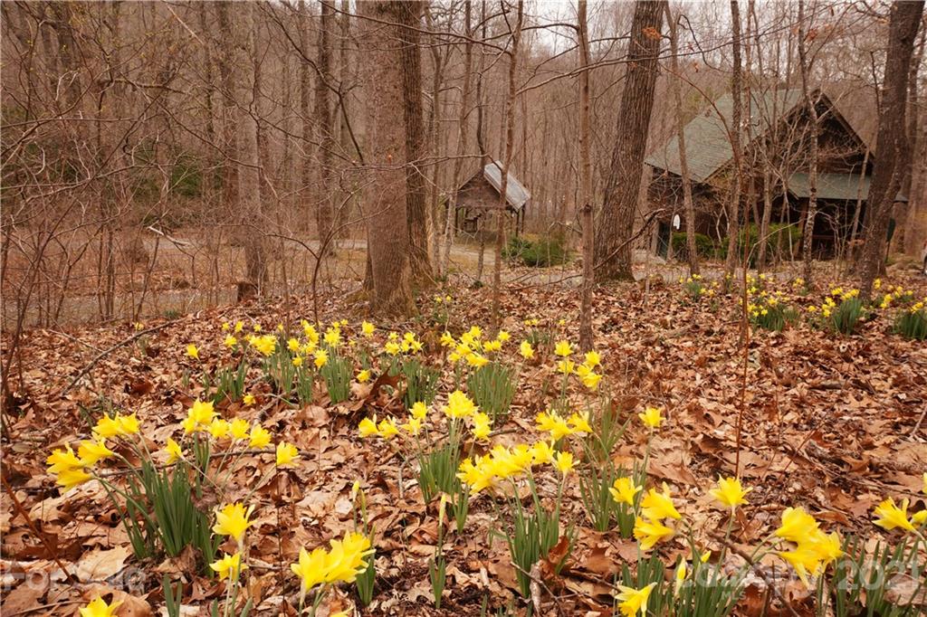 465 Ox Creek Road Weaverville NC 28787