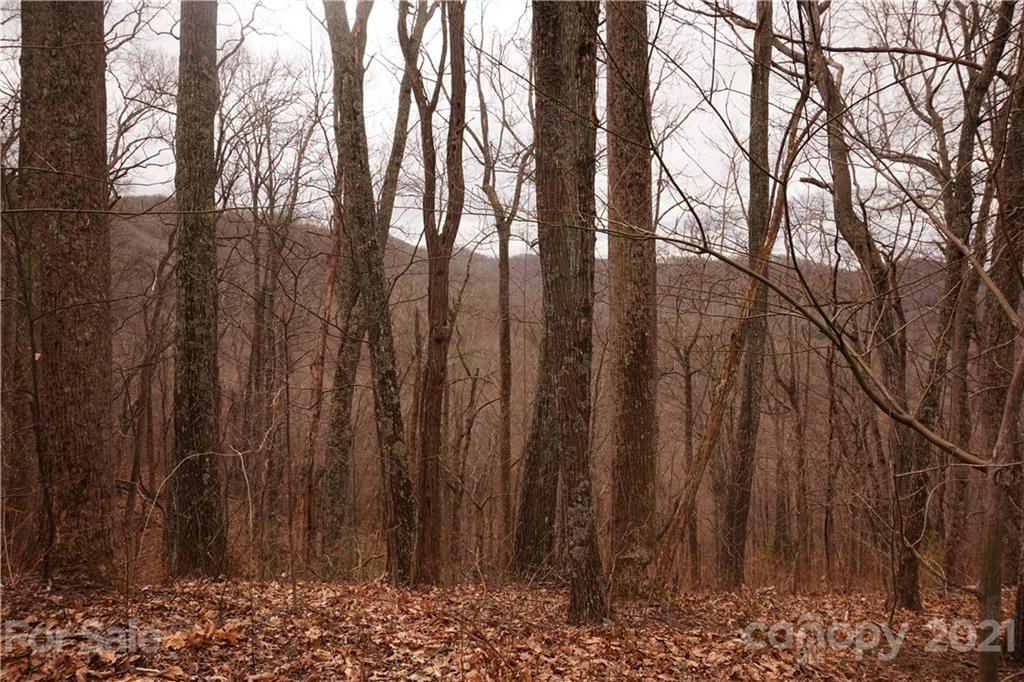 465 Ox Creek Road Weaverville NC 28787