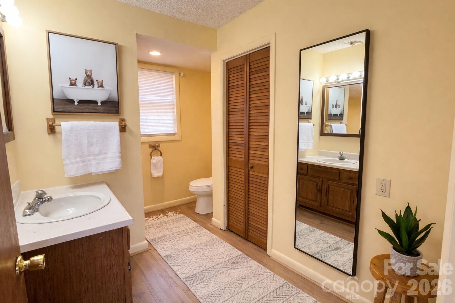 1511 Water Wheel Cove Clyde NC 28721