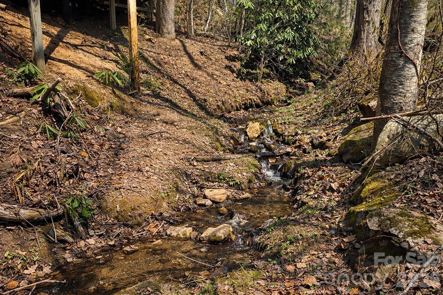 1511 Water Wheel Cove Clyde NC 28721
