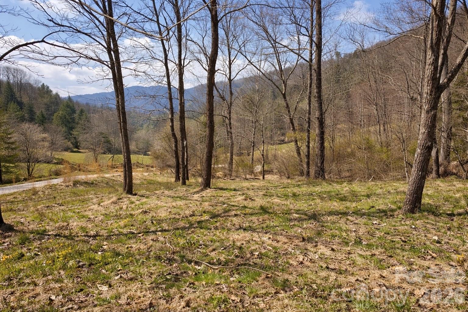 1511 Water Wheel Cove Clyde NC 28721