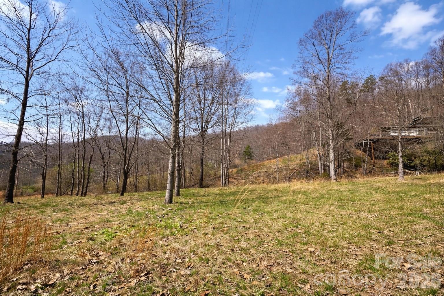 1511 Water Wheel Cove Clyde NC 28721