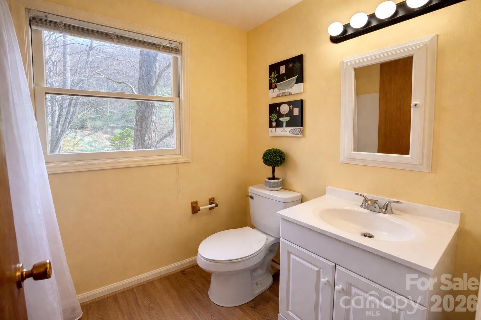 1511 Water Wheel Cove Clyde NC 28721