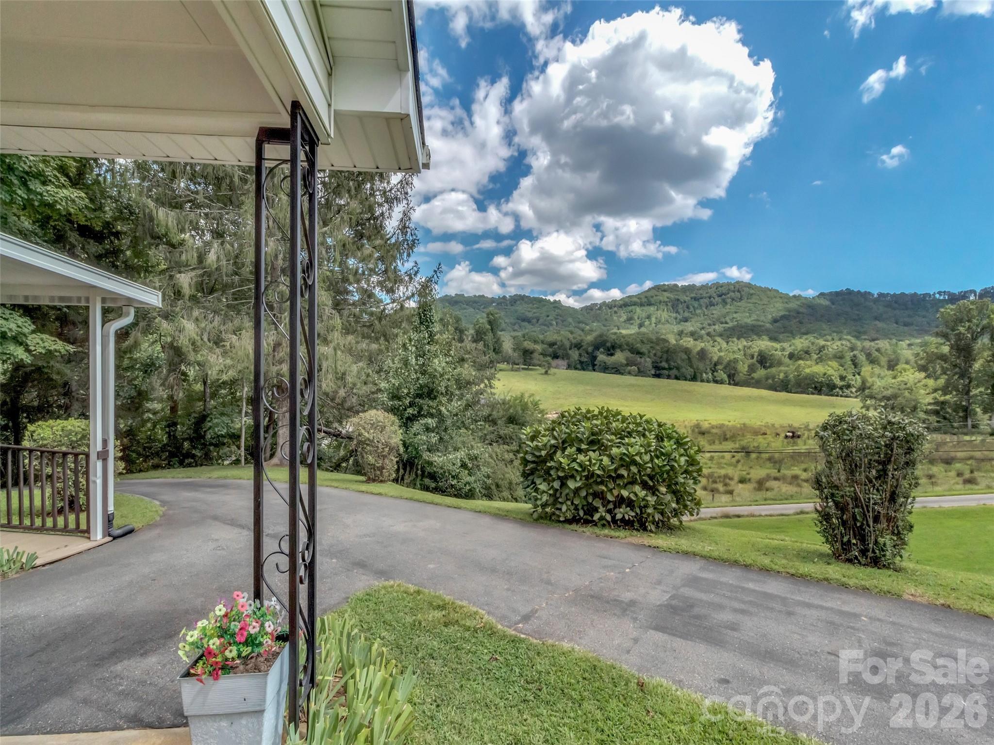 250 Reeves Cove Road Candler NC 28715
