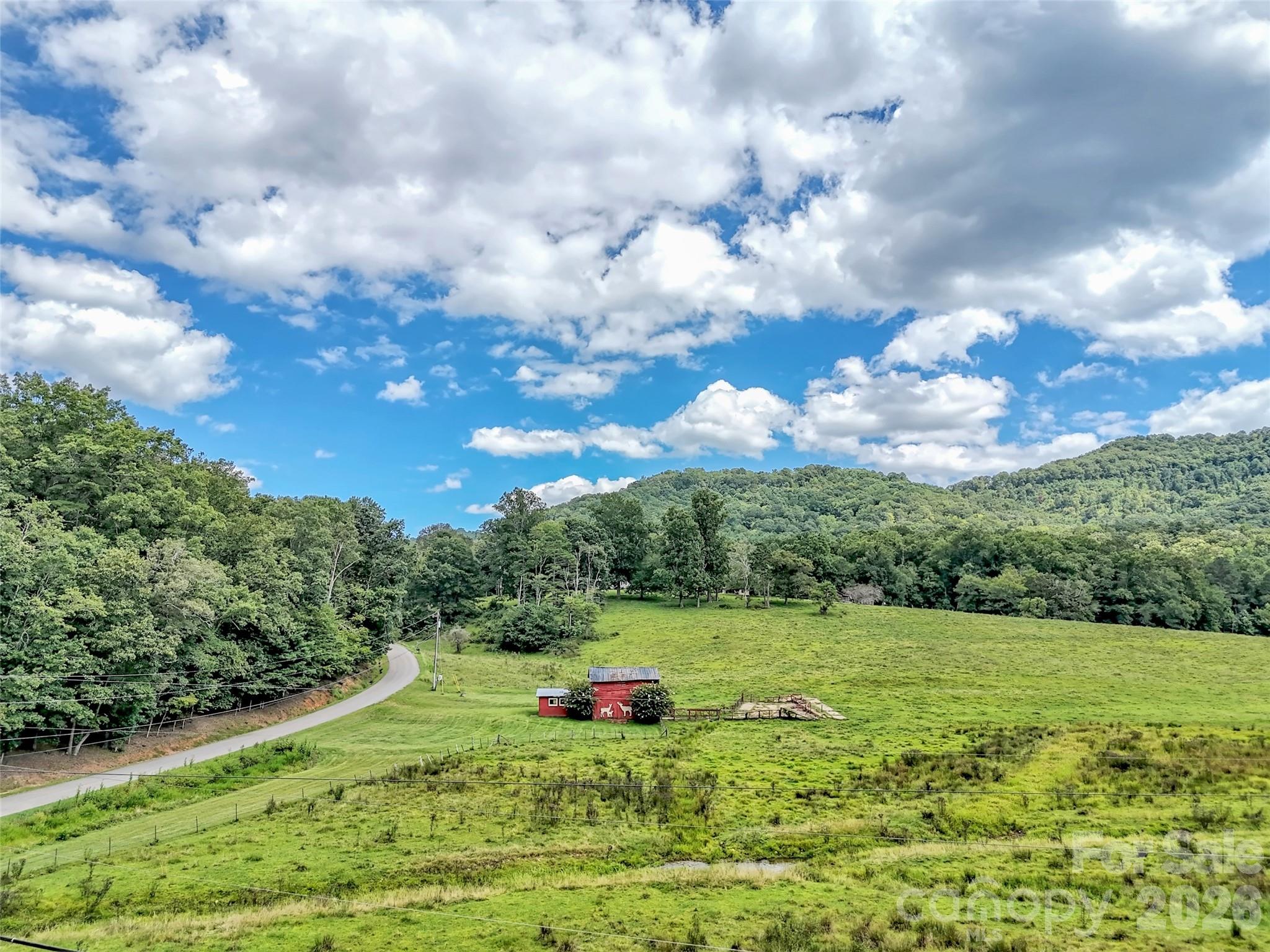 250 Reeves Cove Road Candler NC 28715